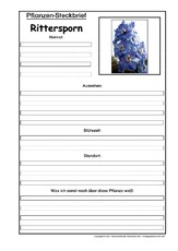 Pflanzensteckbrief-Rittersporn.pdf